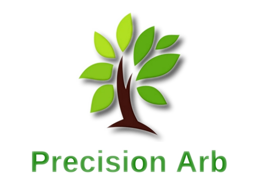 Precision Arborist Adelaide South Australia